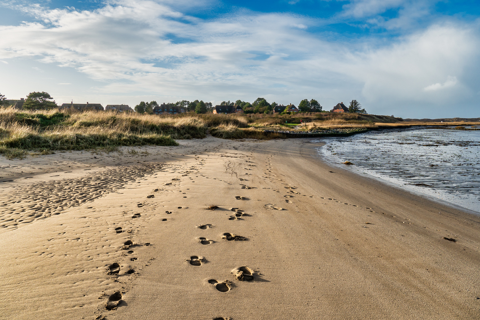 AN DER WATTSEITE VON KAMPEN AUF SYLT FEBRUAR 2020