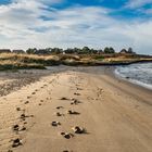 AN DER WATTSEITE VON KAMPEN AUF SYLT FEBRUAR 2020