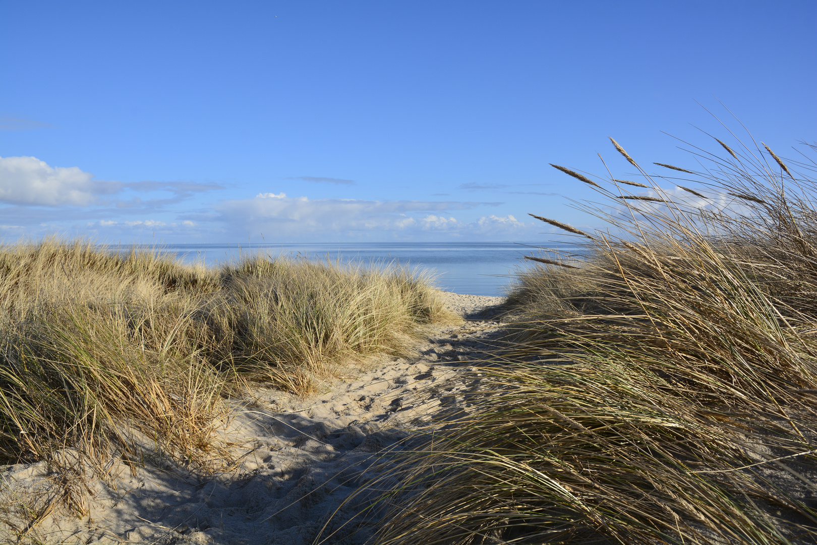 AN DER WATTSEITE VON RANTUM AUF SYLT - FEBRUAR 2016