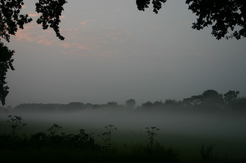 An der Wedeler Landstraße...