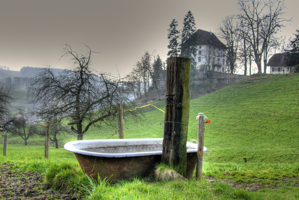 An der Weide überm Dorf...