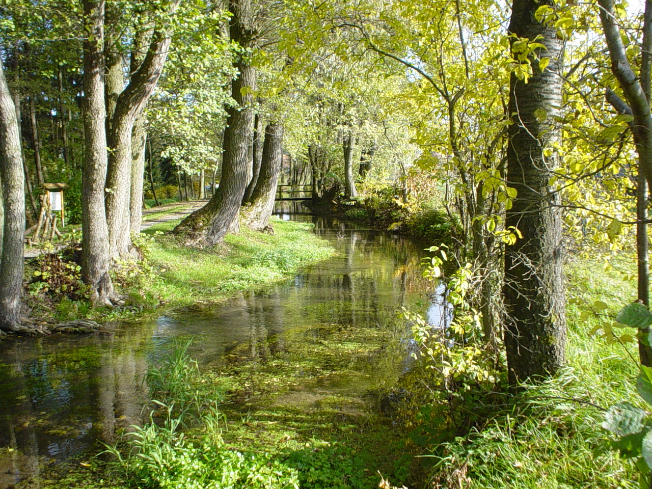 an der Weismain