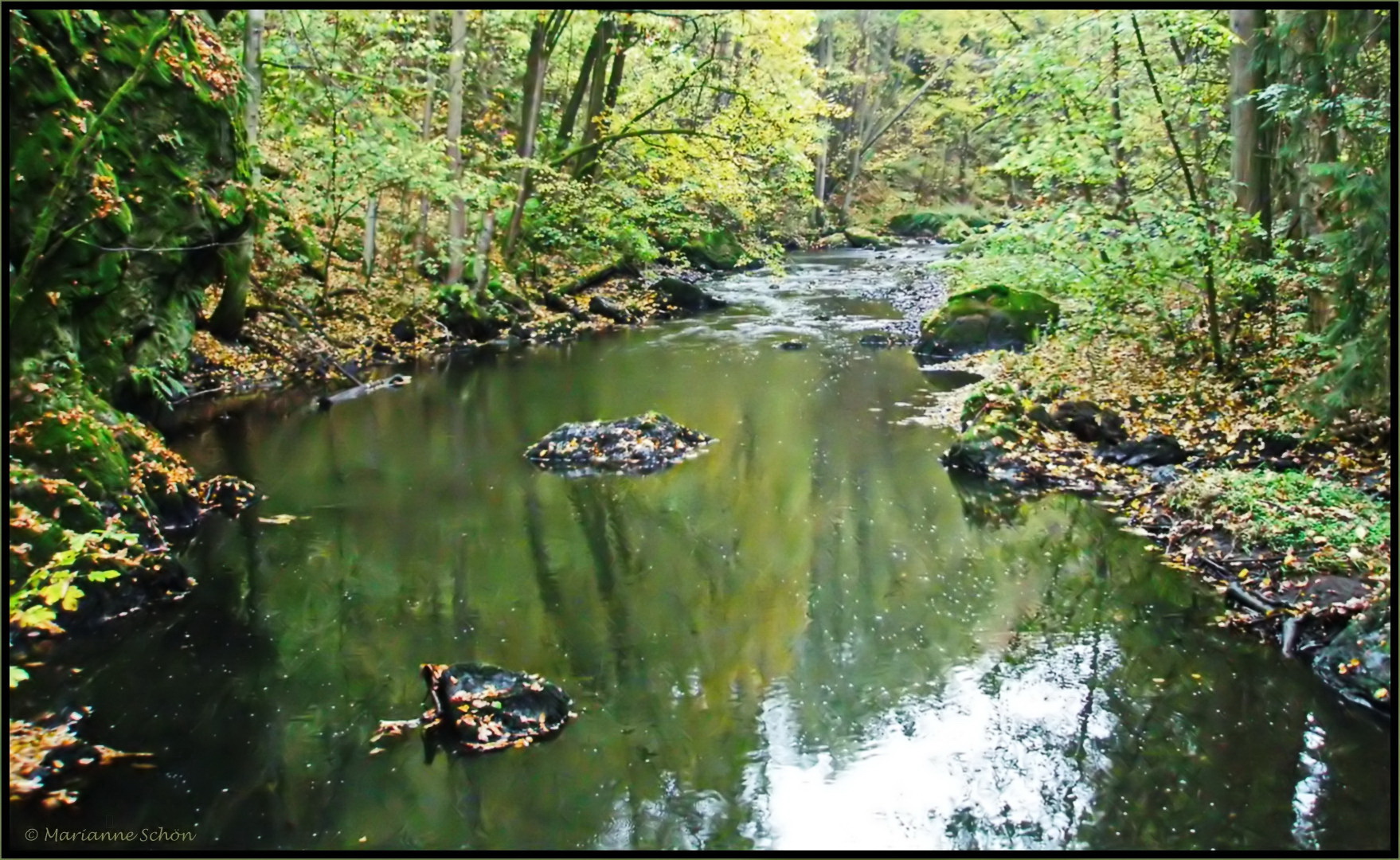 An der weißen Elster im Vogtland...