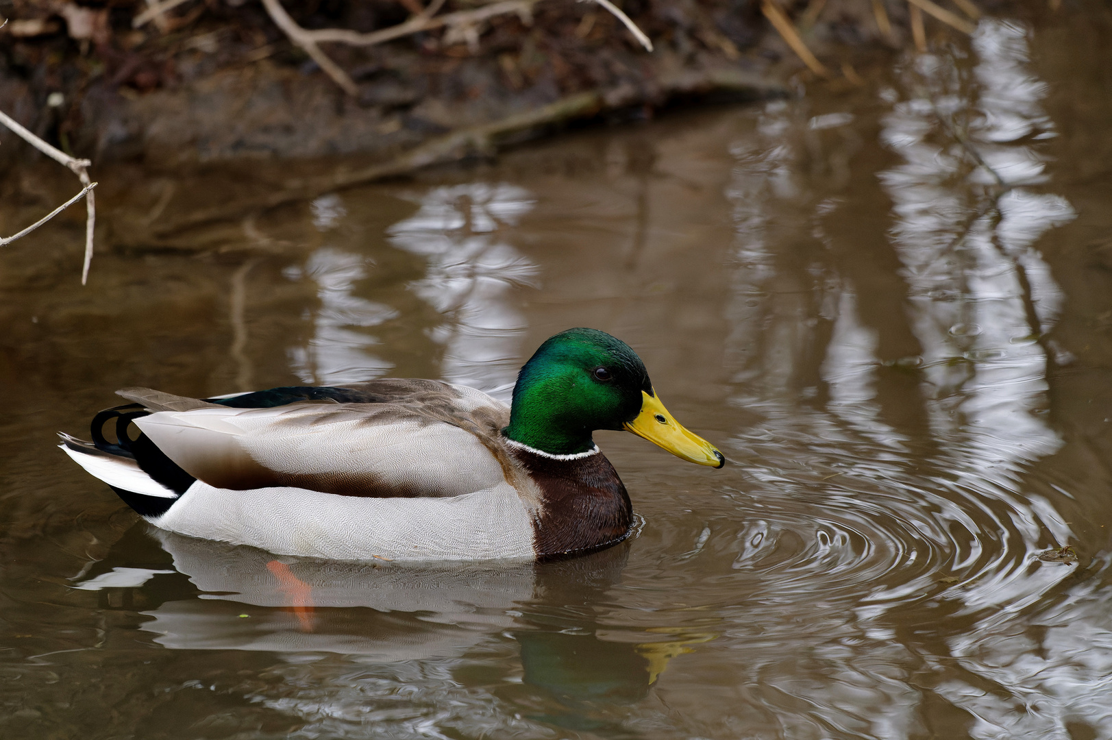 An der Wertach