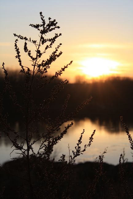 An der Weser bei Intschede V