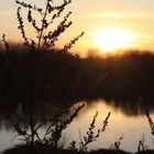 An der Weser bei Intschede V