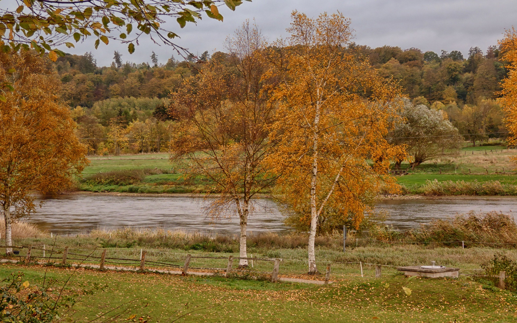 An der Weser bei Wehrden Foto & Bild natur, landschaft, fluss weser