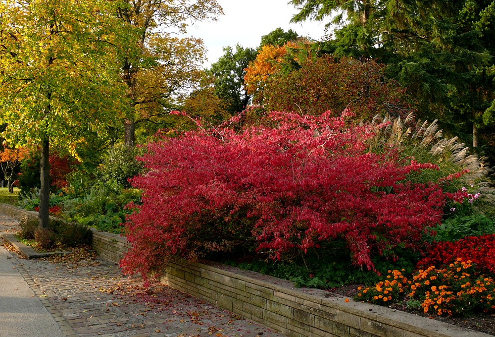 An der Weserpromenade