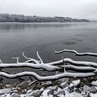 An der Westerwälder Seenplatte   II