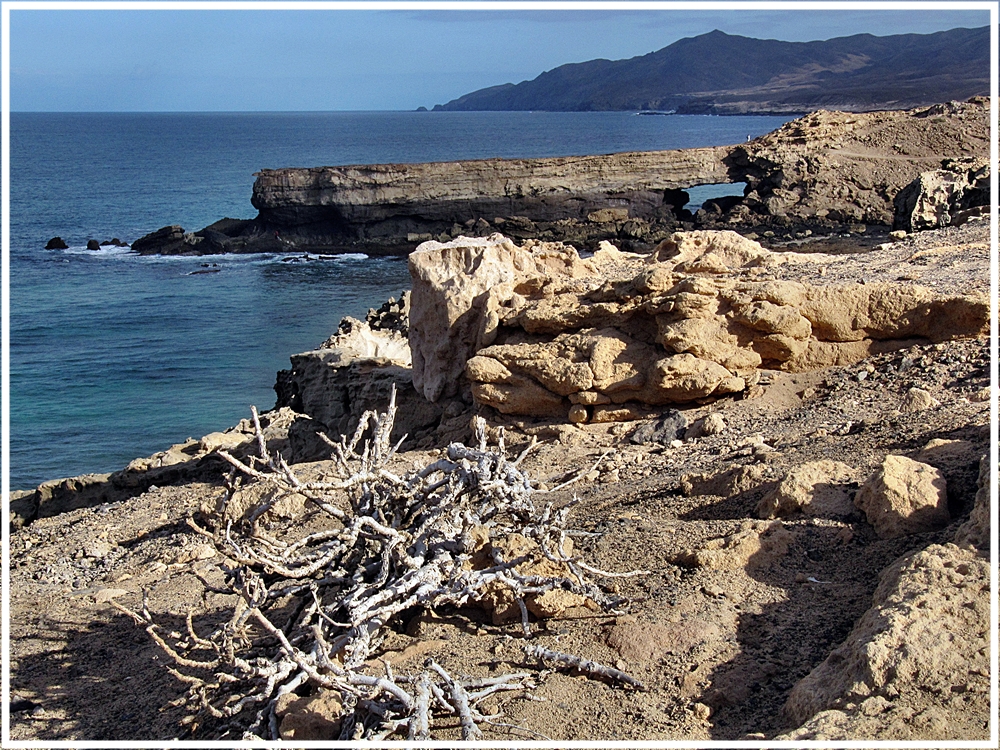 an der Westküste von Fuerteventura