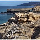 an der Westküste von Fuerteventura