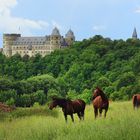 An der Wewelsburg