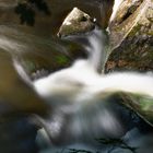 an der wilden Bode - Thale/Harz