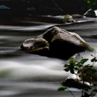 an der wilden Bode - Thale/Harz