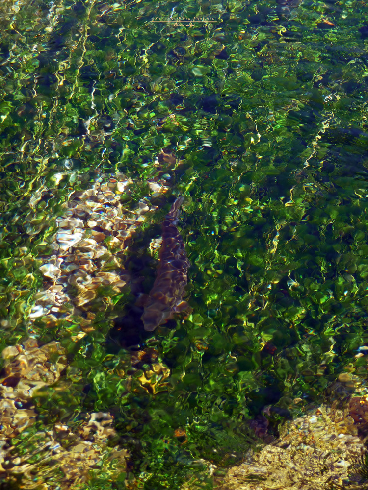 " An der Wimsener Höhle "