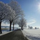 An der winterlichen Landstraße