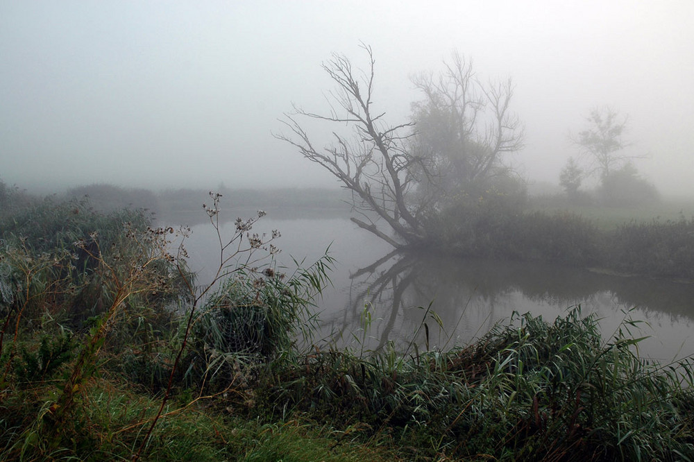 An der Wörnitz bei Harburg