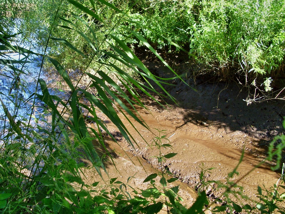 an der Wümme bei Ebbe