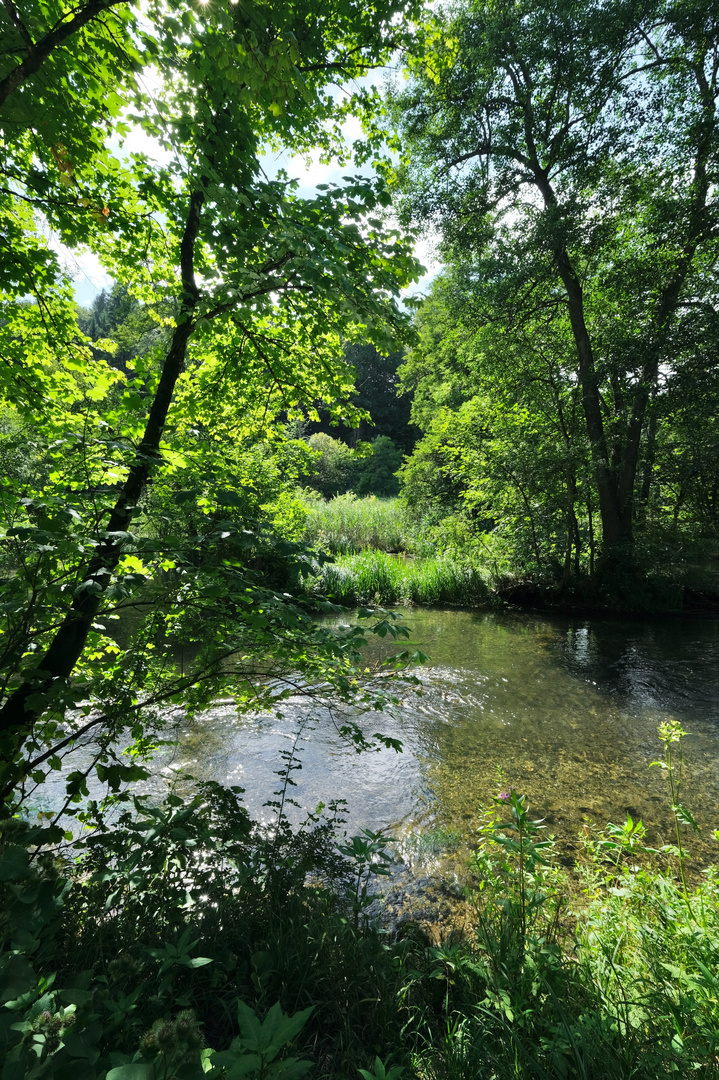 An der Würm