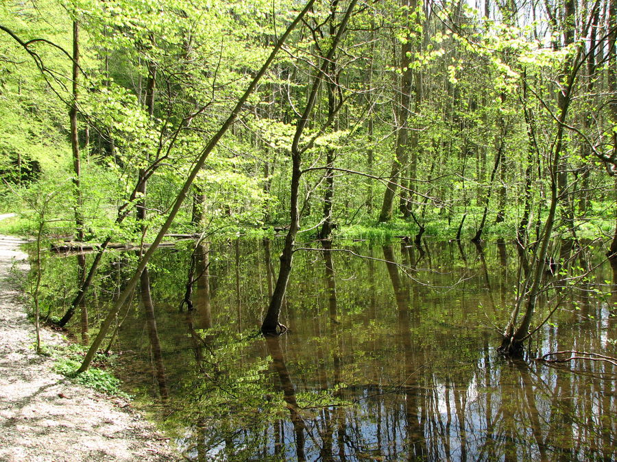 An der Würm in Gauting im Fünf-See-Land