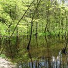 An der Würm in Gauting im Fünf-See-Land