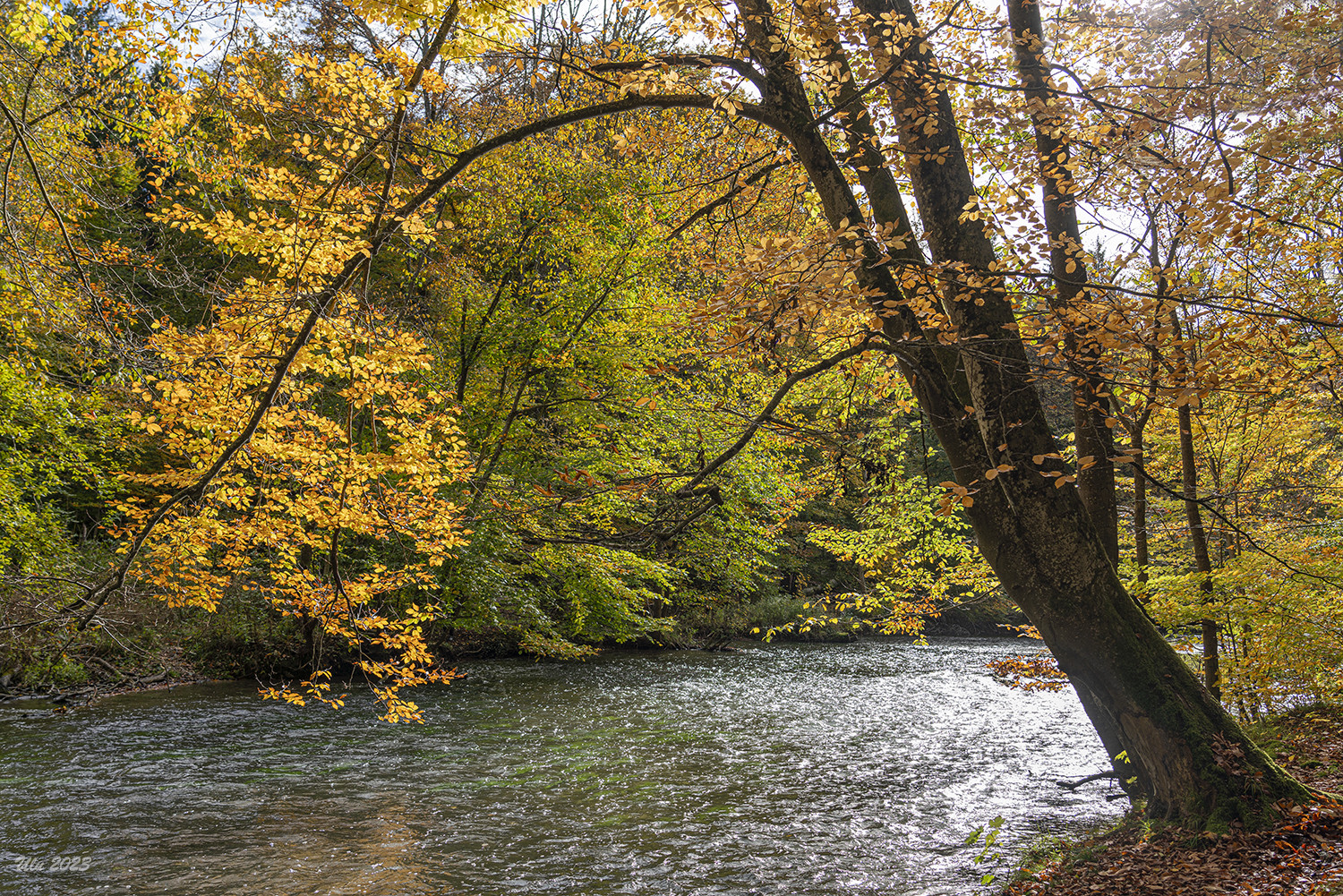 an der Würm /Obb.