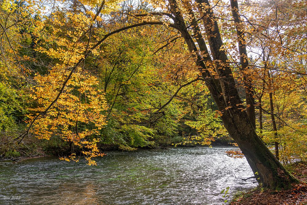 an der Würm /Obb.