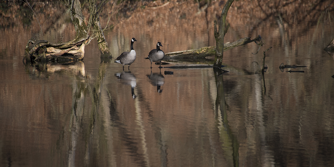 An der Wupper