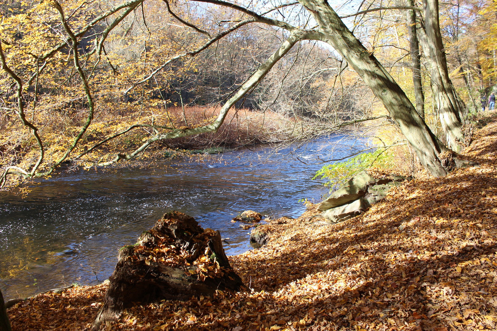 An der Wupper