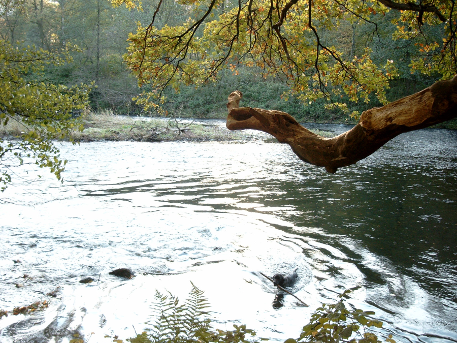 An der Wupper dem "Bergischen Amazonas"