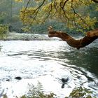 An der Wupper dem "Bergischen Amazonas"