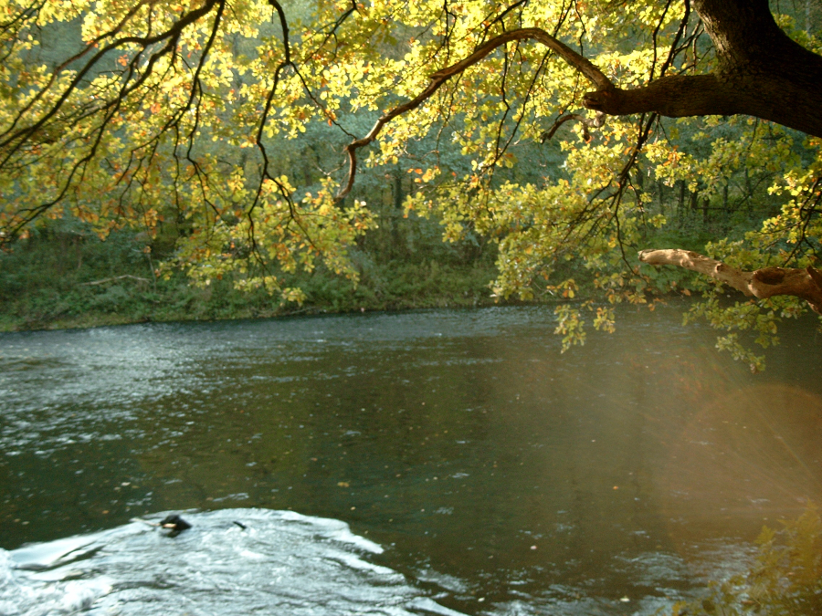 An der Wupper - dem Bergischen Amazonas (Nähe Solingen