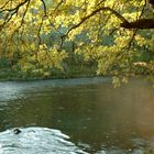 An der Wupper - dem Bergischen Amazonas (Nähe Solingen