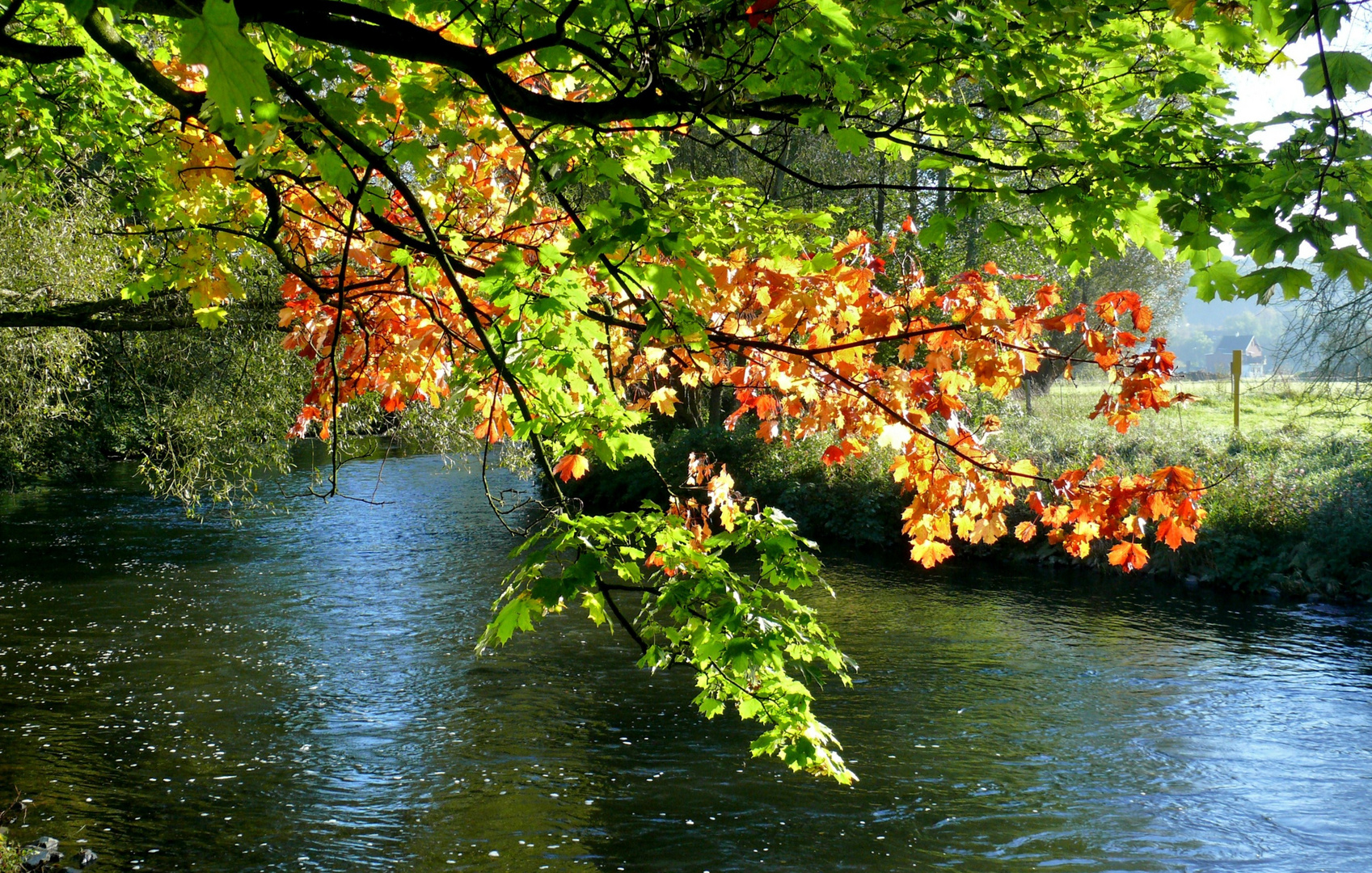 An der Wupper - Der Herbst beginnt sein Farbspiel