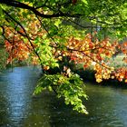 An der Wupper - Der Herbst beginnt sein Farbspiel