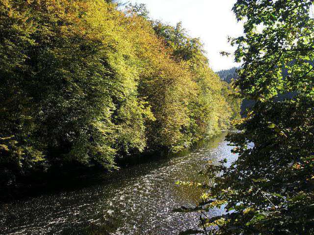 An der Wupper zwischen Müngsten und Burg