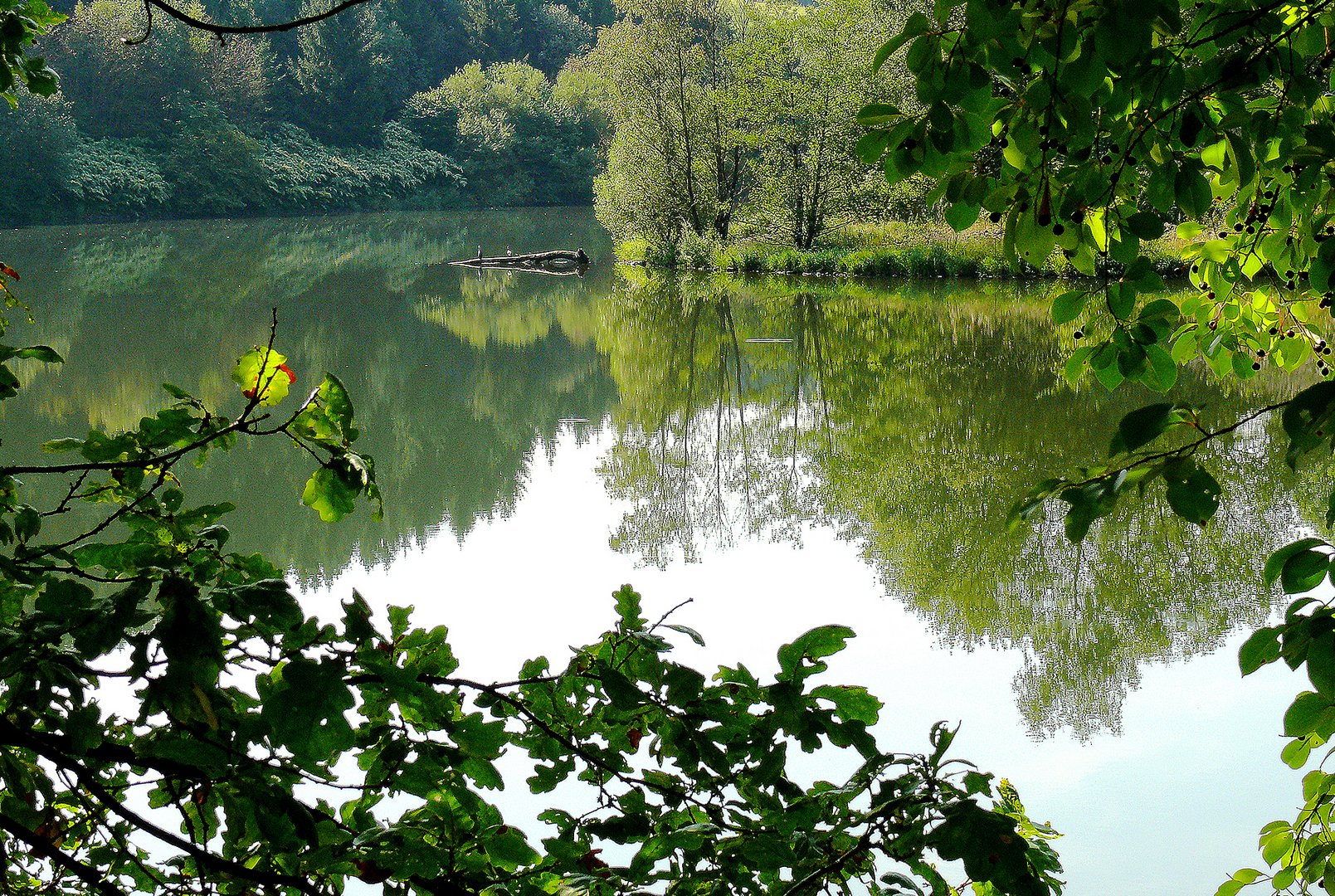 An der Wuppertalsperre bei Hückeswagen