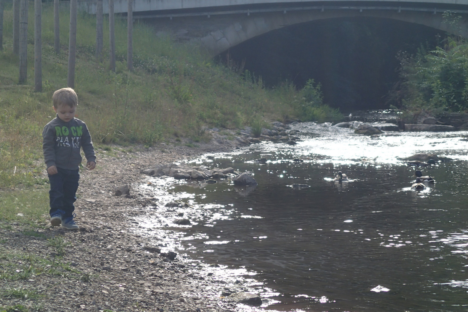 ...an der Zabermündung in Lauffen a. N.