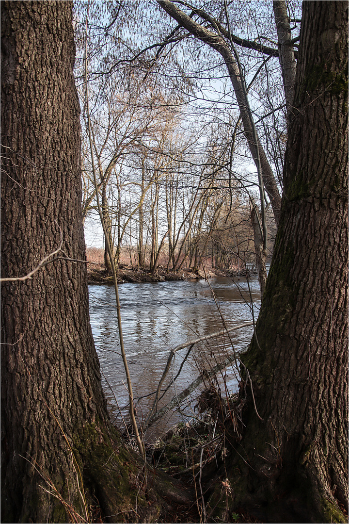 An der Zwickauer Mulde 1