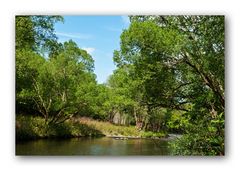 An der Zwickauer Mulde