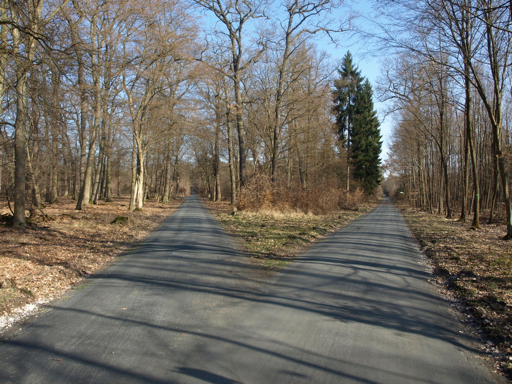 An des Weges Scheide....wie im richtigen Leben...