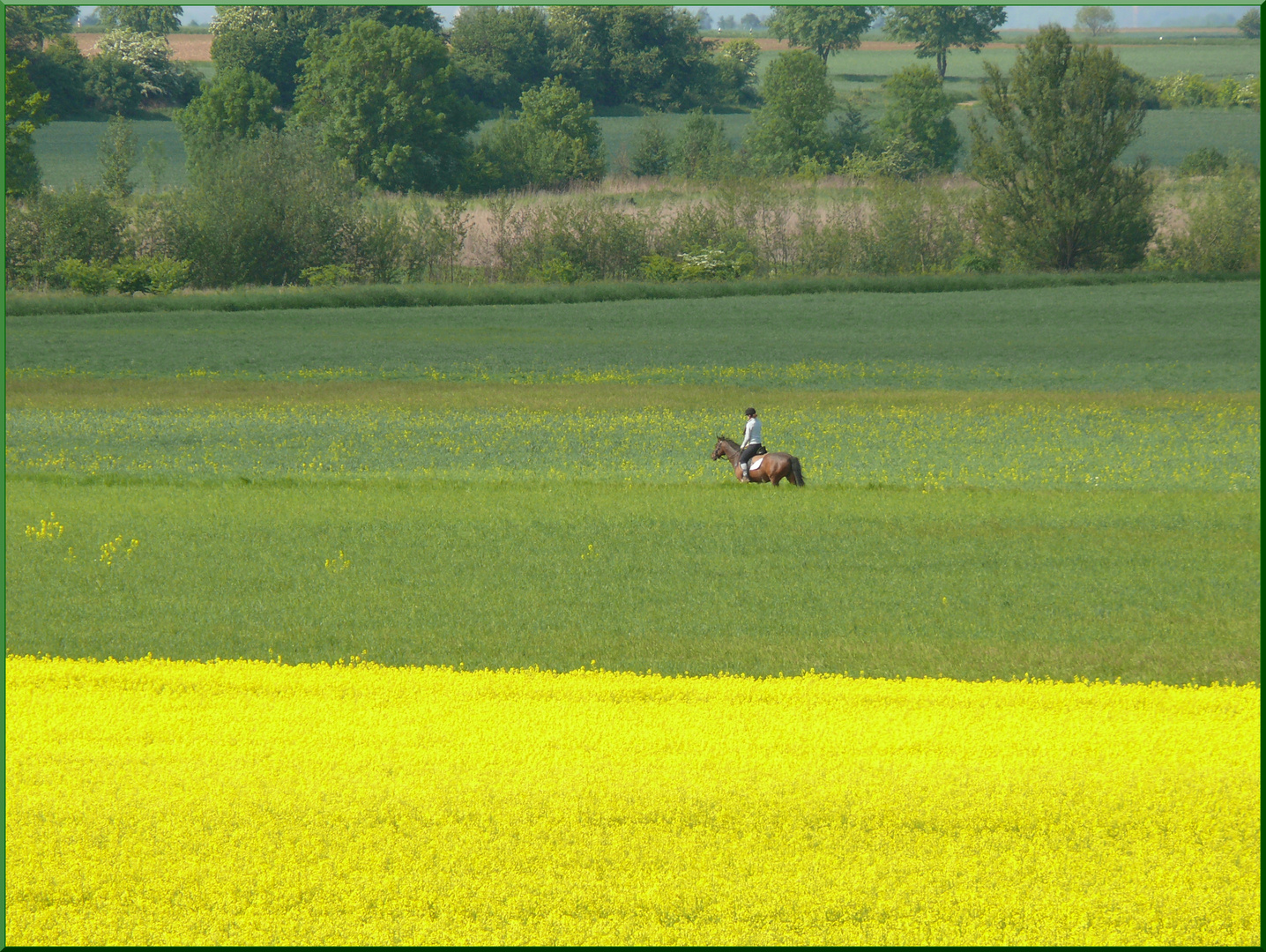 An die frische Luft