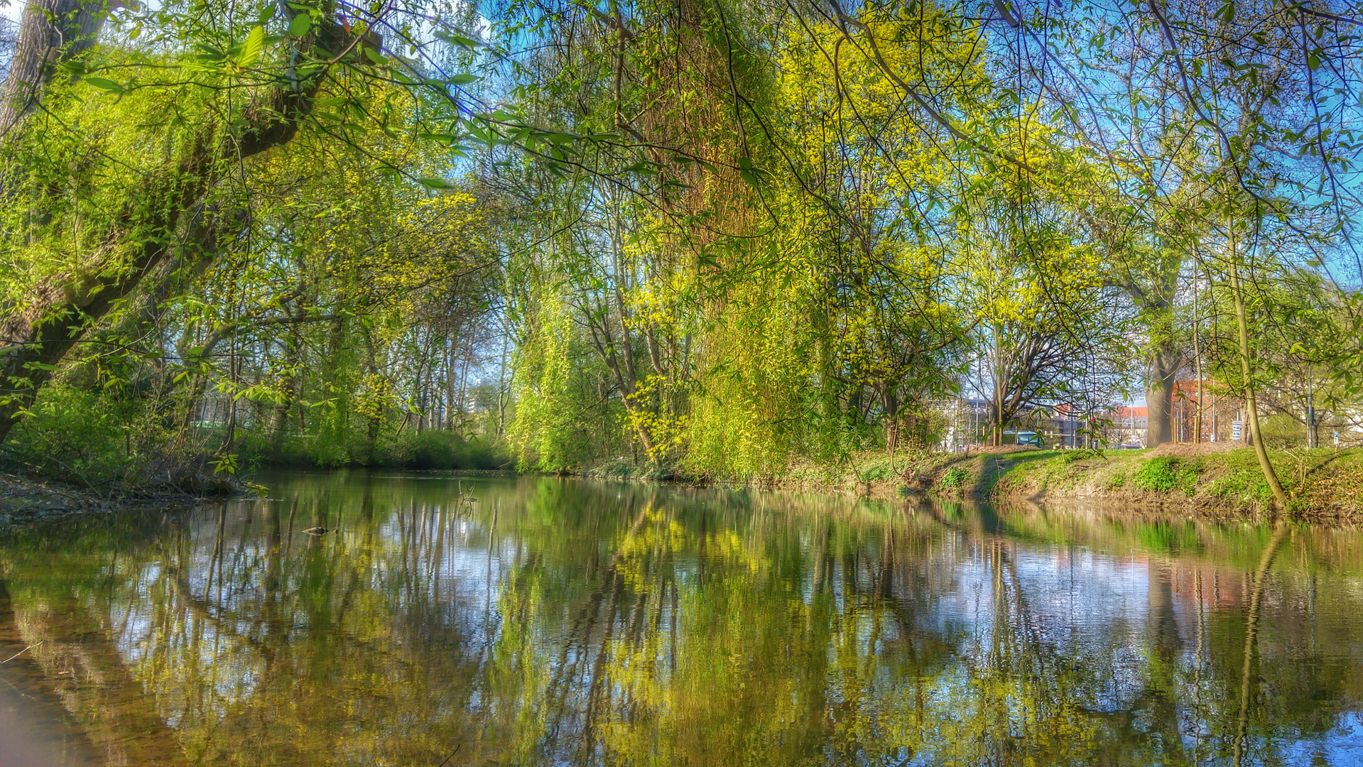 An die Leine gelegt... Foto & Bild landschaft, bach, fluss & see