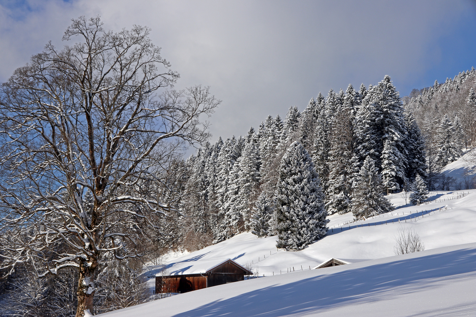 An dieser herrlichen Schnee-Idylle ...