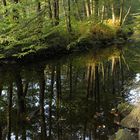 an early fall day along the river