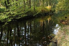 an early fall day along the river