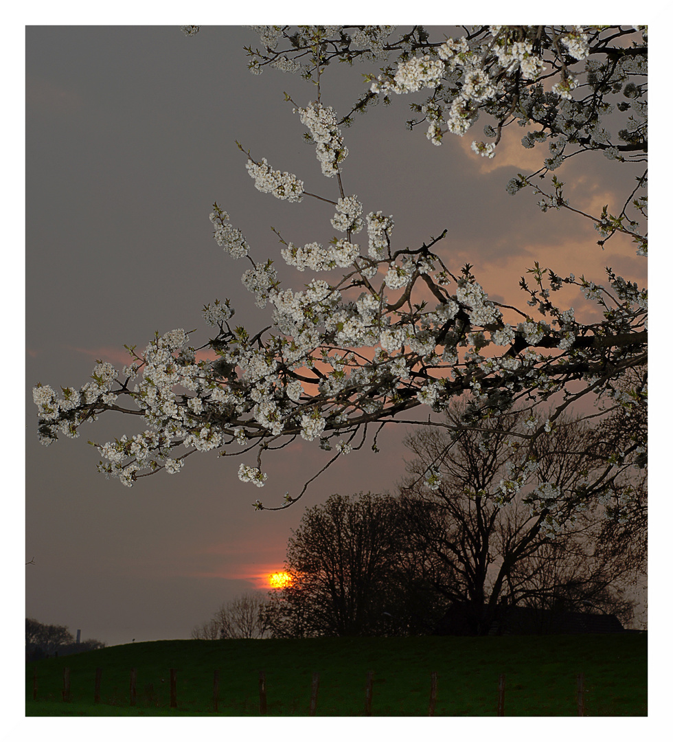 an einem Abend im April