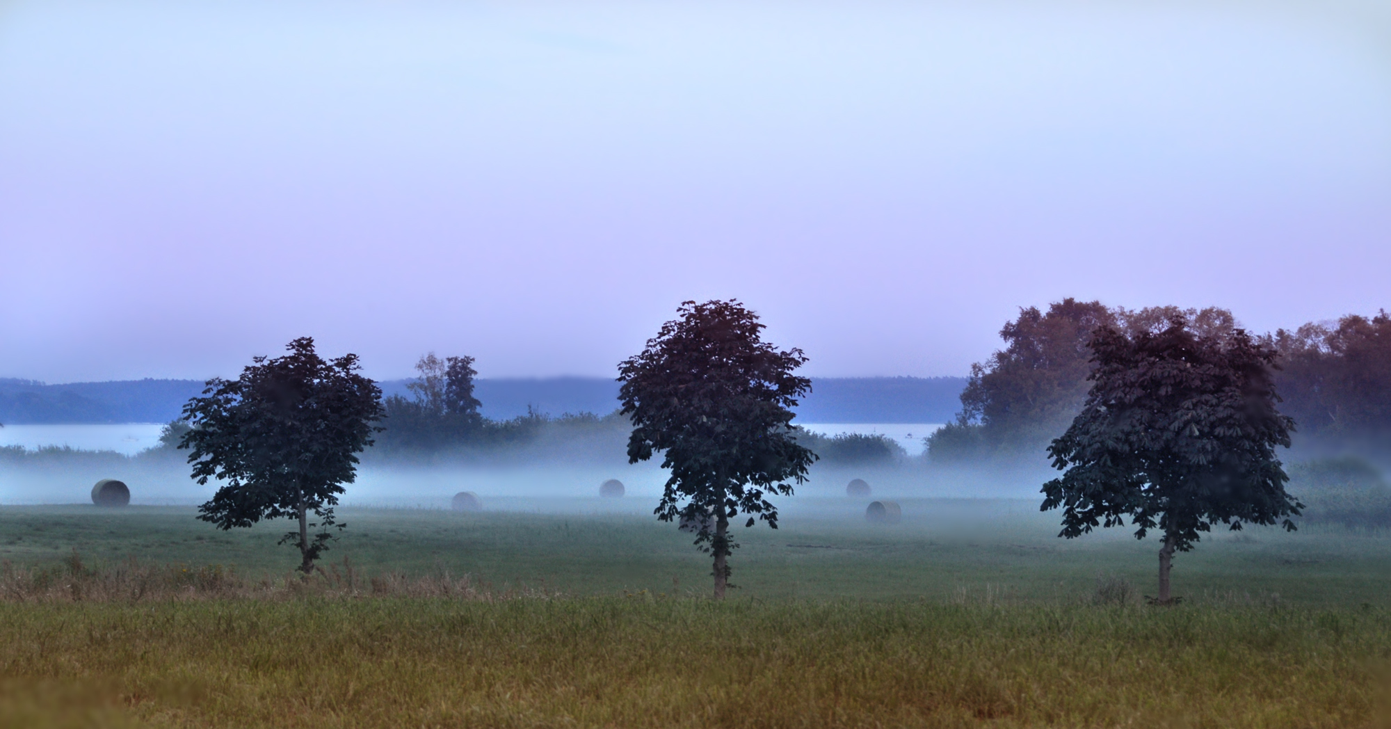 An einem Abend im August