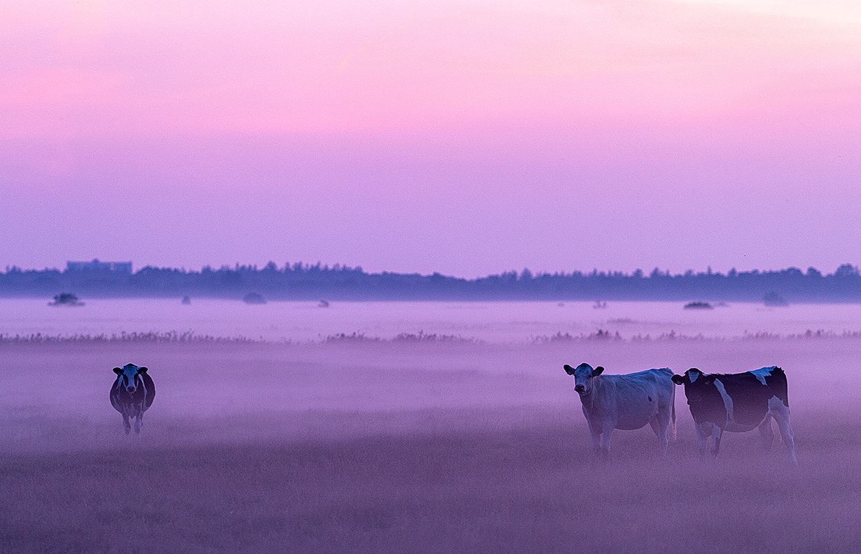 An einem Abend im September...