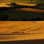 An einem Abend in der Eifel